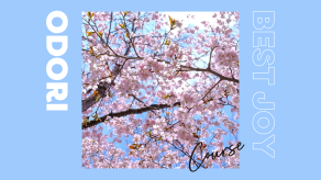 ［コース紹介］動画制作〜桜の動画を作りました🌸
