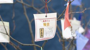 2026年スタート！おみくじイベントの開催